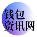 全球化数字支付的综合分析